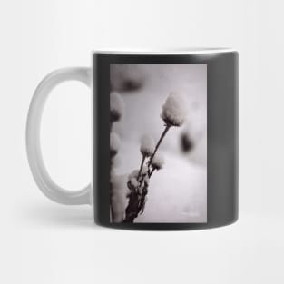 Winter&#39;s Garden Mug